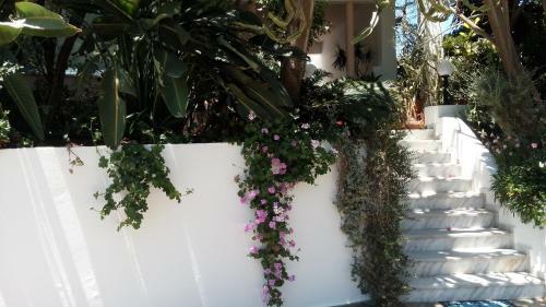 Apartamento Hotel Kleopatra