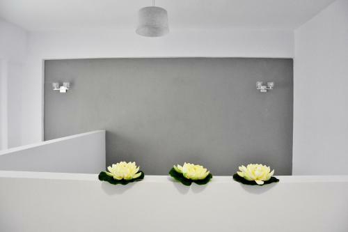 Apartamento Dream Studios