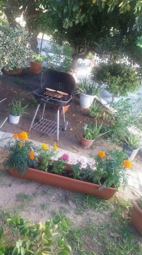 Apartamento Mema's Great View Kefalonia