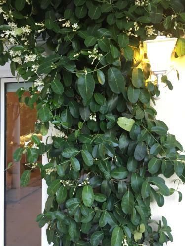 Apartamento Villa Pelagia