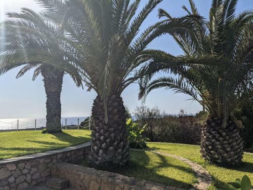 Ionian Blue Luxury Villas