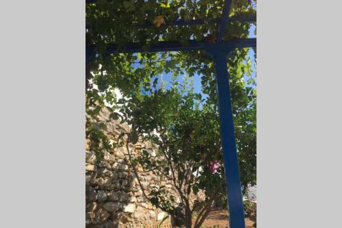 Cycladic Houses In Rural Surrounding 3