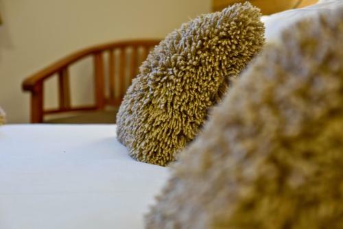 Hotel H�tel Du Pourtalet