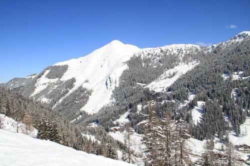 Apartamento Alpen Appartements
