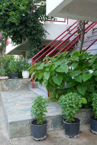 Hostal Tiros Apartments Armonia