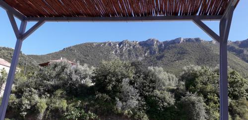 Theodora's Guest House