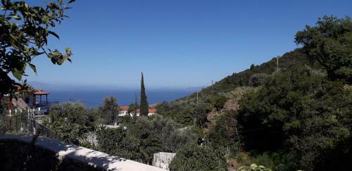Theodora's Guest House