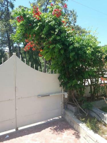 Greek Style Ground Floor Apartment & Pool