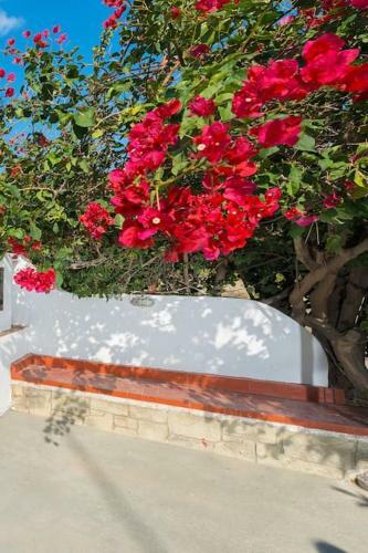 Greek Style Ground Floor Apartment & Pool