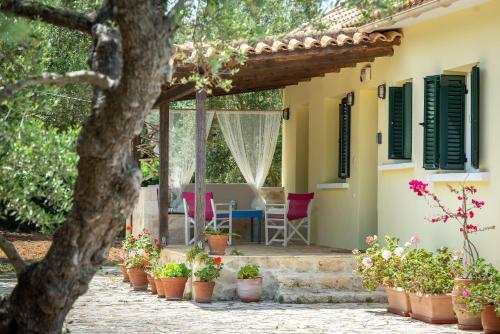 Olive Grove Villa