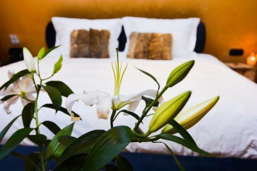 Hotel 3 Hills Boutique - The Ranch Experience