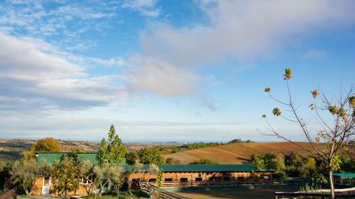 Hotel 3 Hills Boutique - The Ranch Experience