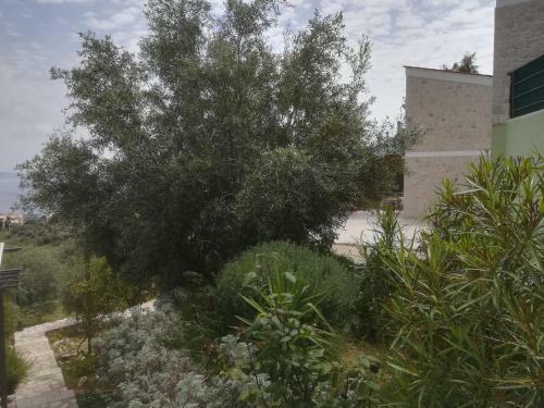 Stone House In Olive Grove