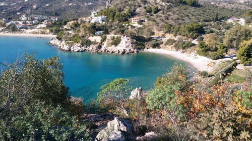 Stone House In Olive Grove