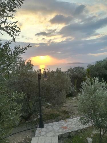 Stone House In Olive Grove