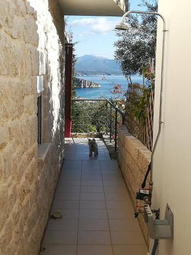 Stone House In Olive Grove