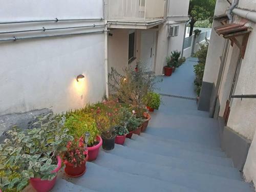 Apartamento The House That Wanted To Be In Paris
