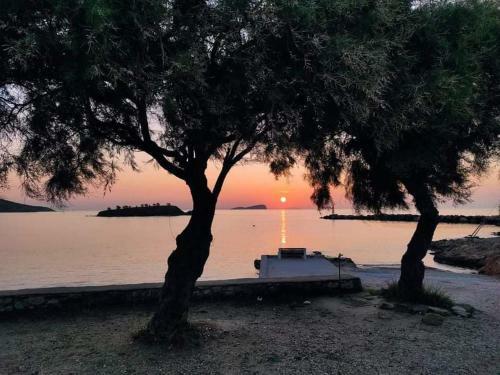"stalia" Beach House