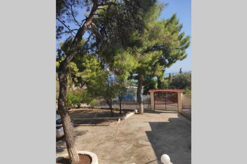 Villa Pines Seaview Cottage