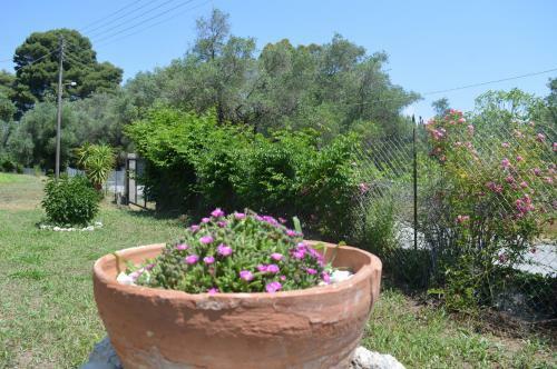 Villa Kathrin's House