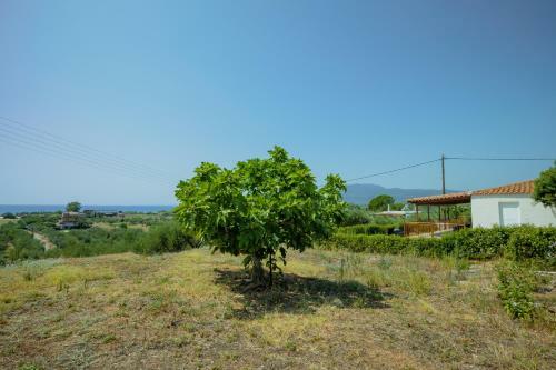 At The Messinian's Bay