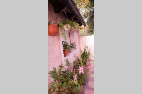 Apartamento Vintage House Ermones