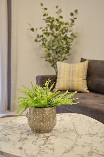 Elegant Central Apartment
