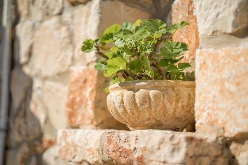 Apartamento Myrties Stone Houses - Arekia