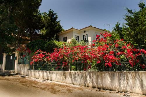 Renard Bleu Homes