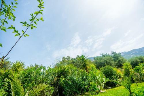 Apartamento My Serenity