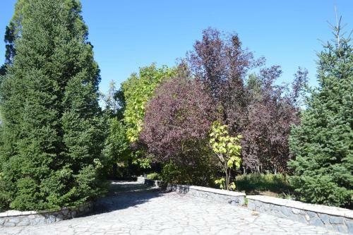 Villa Vytina With Garden And Bbq