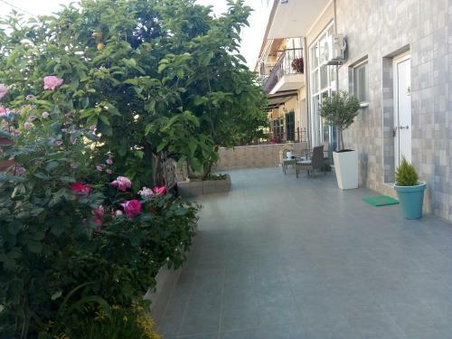 Vonitsa Apartment 2