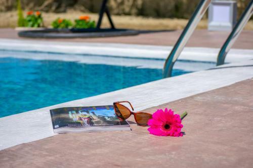 Zante Lagos Holiday Homes Treehouse And Villa