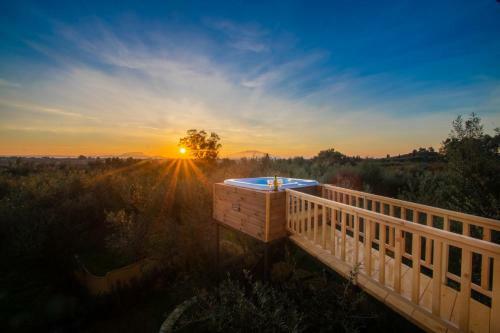 Zante Lagos Holiday Homes Treehouse And Villa