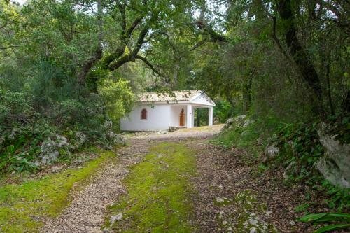 Zante Lagos Holiday Homes Treehouse And Villa