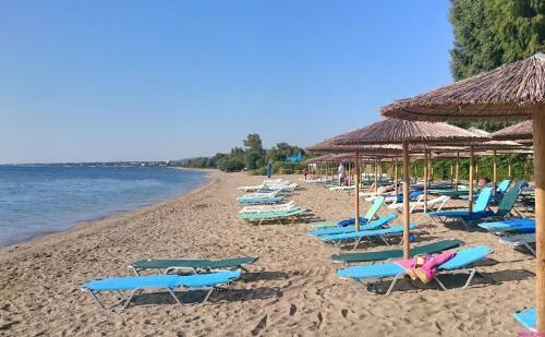 Palmar Club - Villa Zenobia