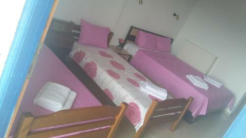 Hostal Guesthouse Zografia