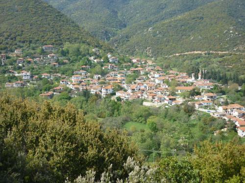 Hostal Guesthouse Zografia