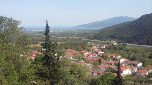 Hostal Guesthouse Zografia