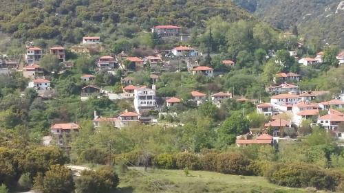 Hostal Guesthouse Zografia