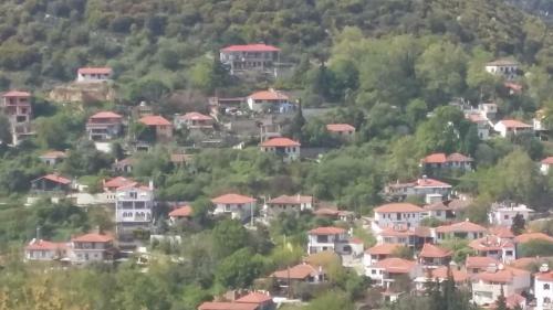 Hostal Guesthouse Zografia