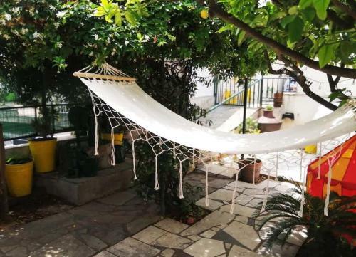 Lemon Tree Family House