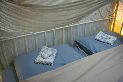 Lemon Tree Family House