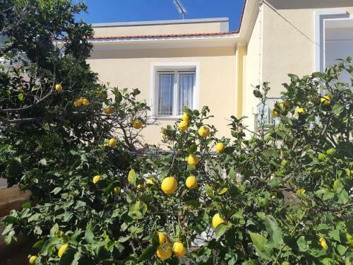 Apartamento Odysseus