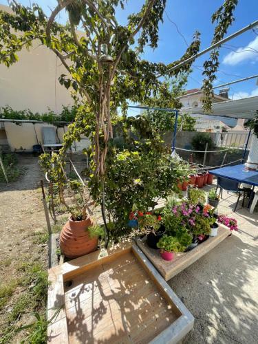 Apartamento Penelope