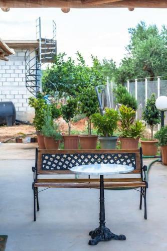 Pelani Stonehouse