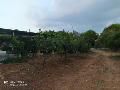 Ozena Countryside Apartment
