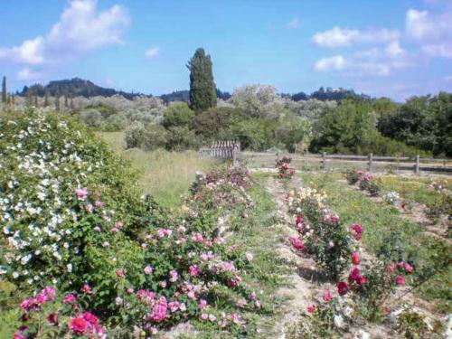 Agroturismo Aroggia Farm