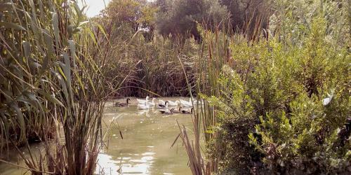 Agroturismo Aroggia Farm