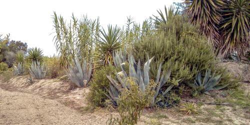 Agroturismo Aroggia Farm